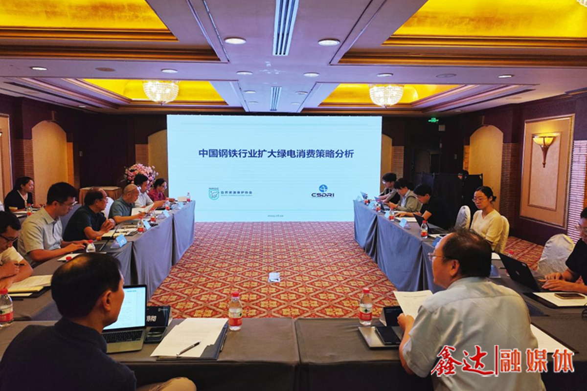 如何更好利用綠電這一減碳利器？——“中國鋼鐵行業(yè)擴大綠電消費策略分析”研討會側(cè)記